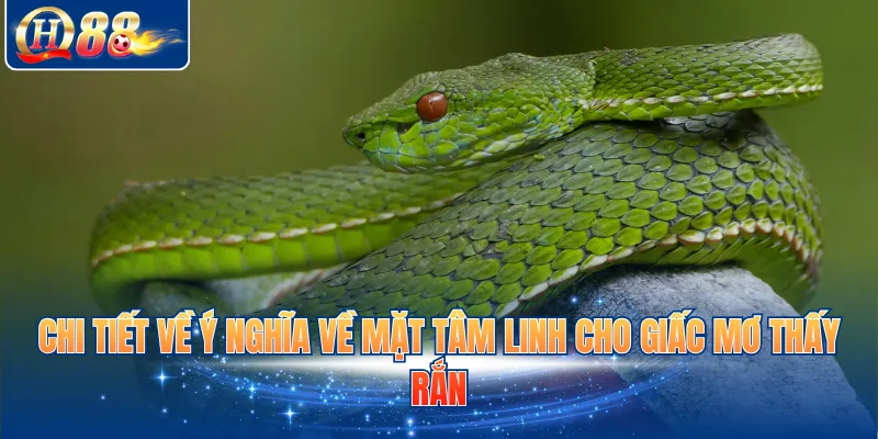 Chi tiết về ý nghĩa cho các trường hợp ngủ mơ thấy rắn