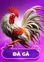 đá gà nhà cái qh88