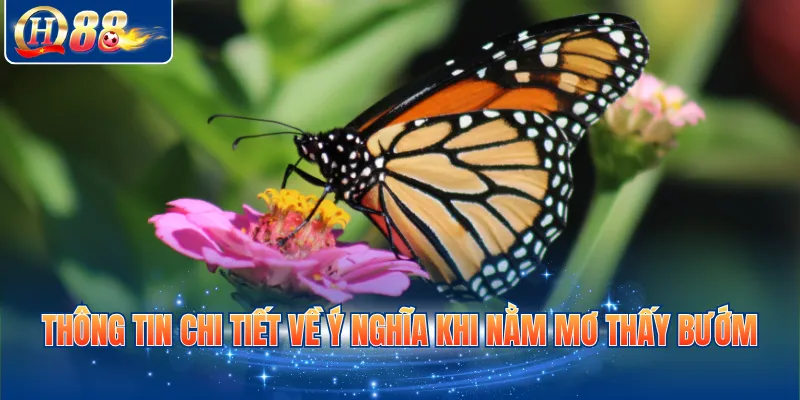 Thông tin chi tiết về ý nghĩa khi nằm mơ thấy bướm